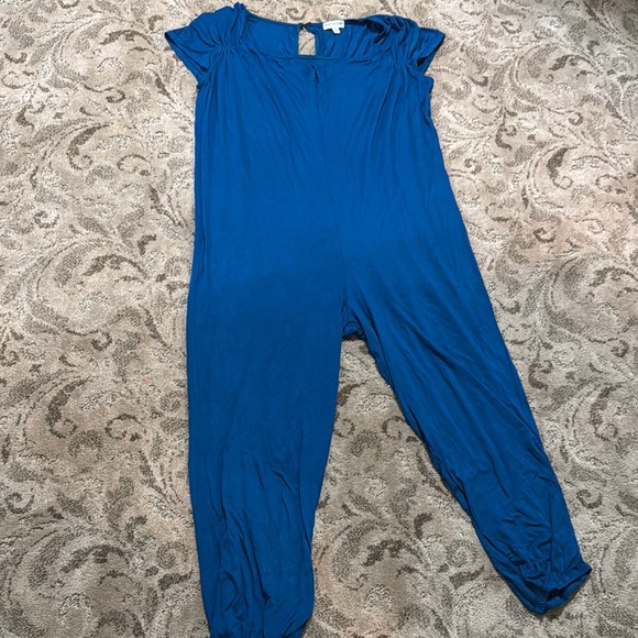 Blue Jumpsuit - Picture 1 of 5